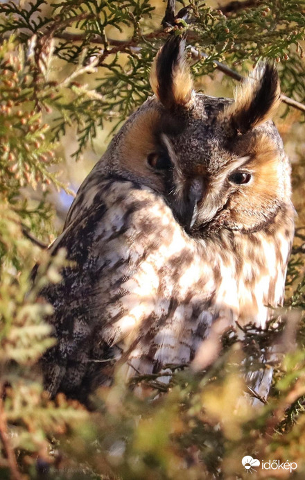 Váratlan találkozás 1.