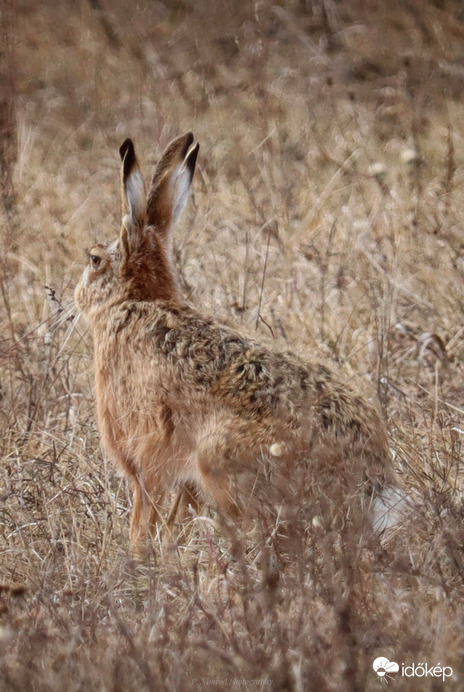 Mi érdekeset látsz arrafelé? ☺️