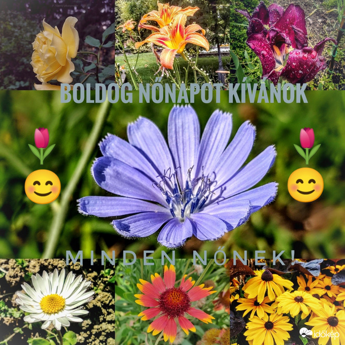 Boldog nőnapot kívánok Minden kedves Hölgynek sok szeretettel☺️