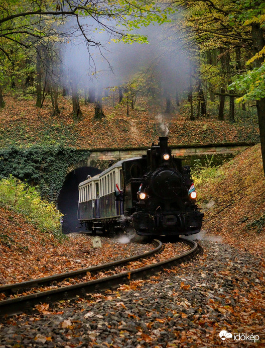 Megy a gőzös, megy a gőzös...