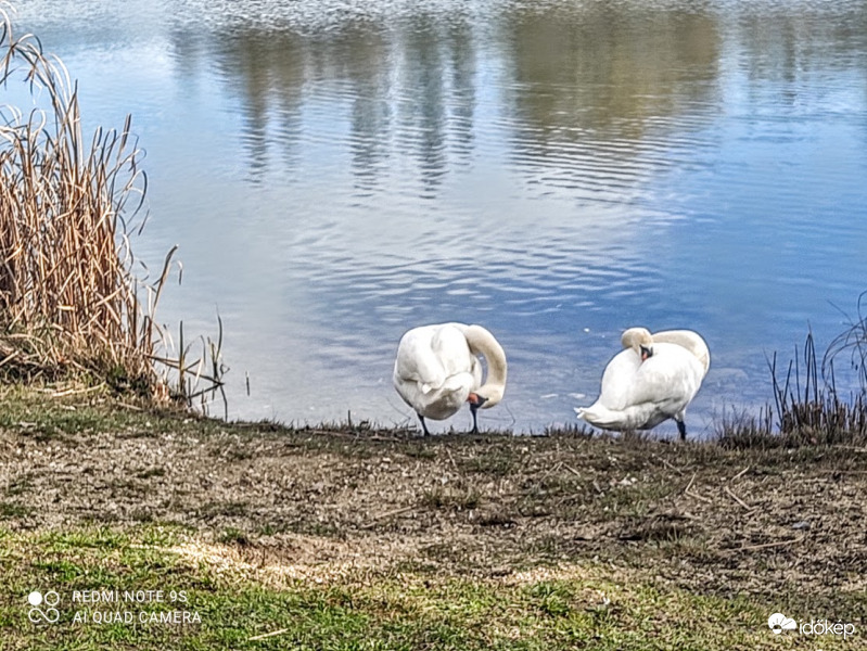 Amikor már mindenhol keresel valamit, de nem találod