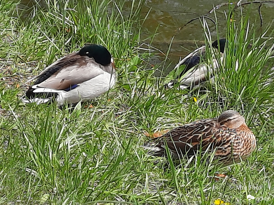 Relax & Nyugalom! :)