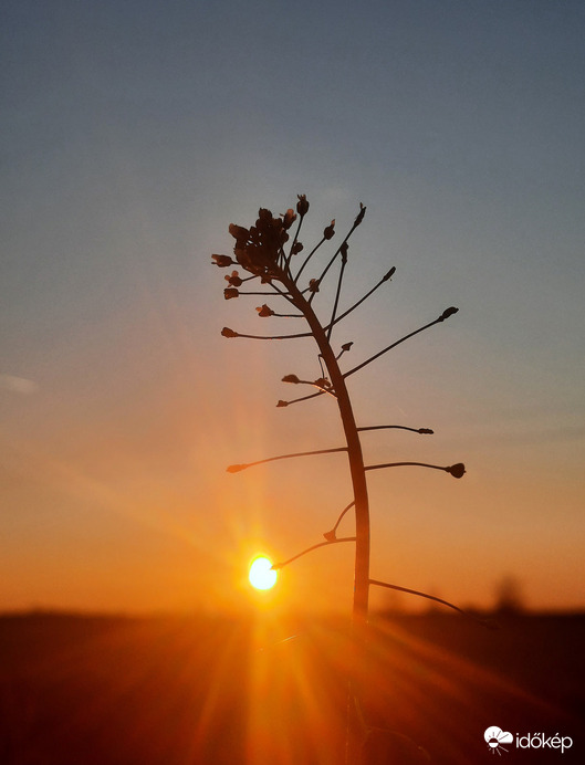 A lemenő nap sugara 1