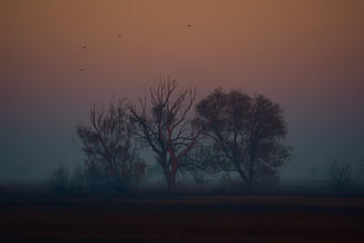 Őszi, ködös reggel Dévaványán