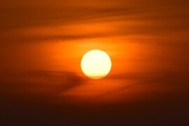 Mai lemenő, Dévaványa