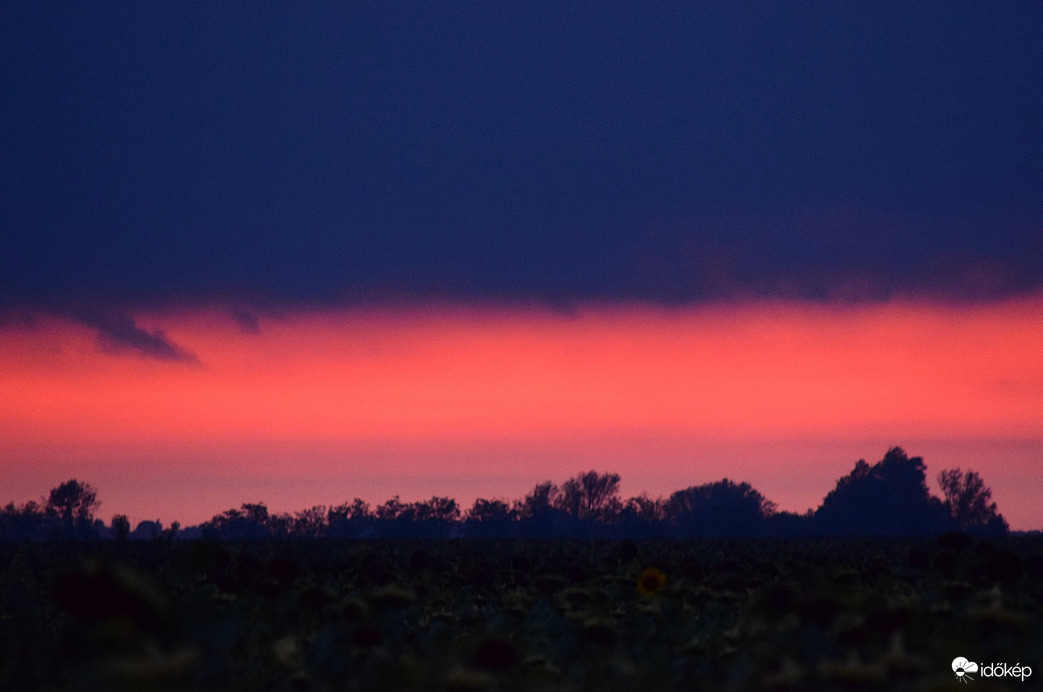 Mai rózsaszín álom...