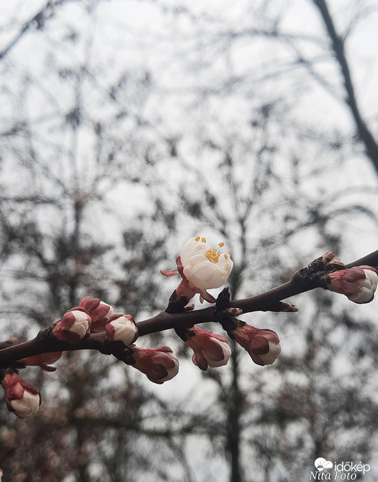 Borongós időben is gyönyörű 6
