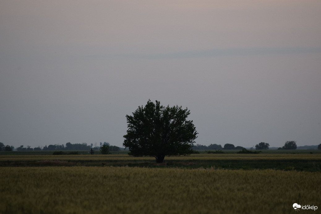 Ma esti tájkép Dévaványán 5