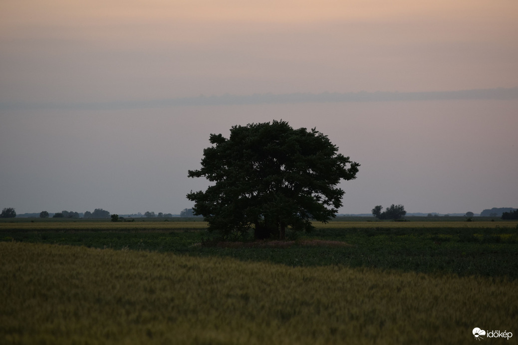 Ma esti tájkép Dévaványán 6