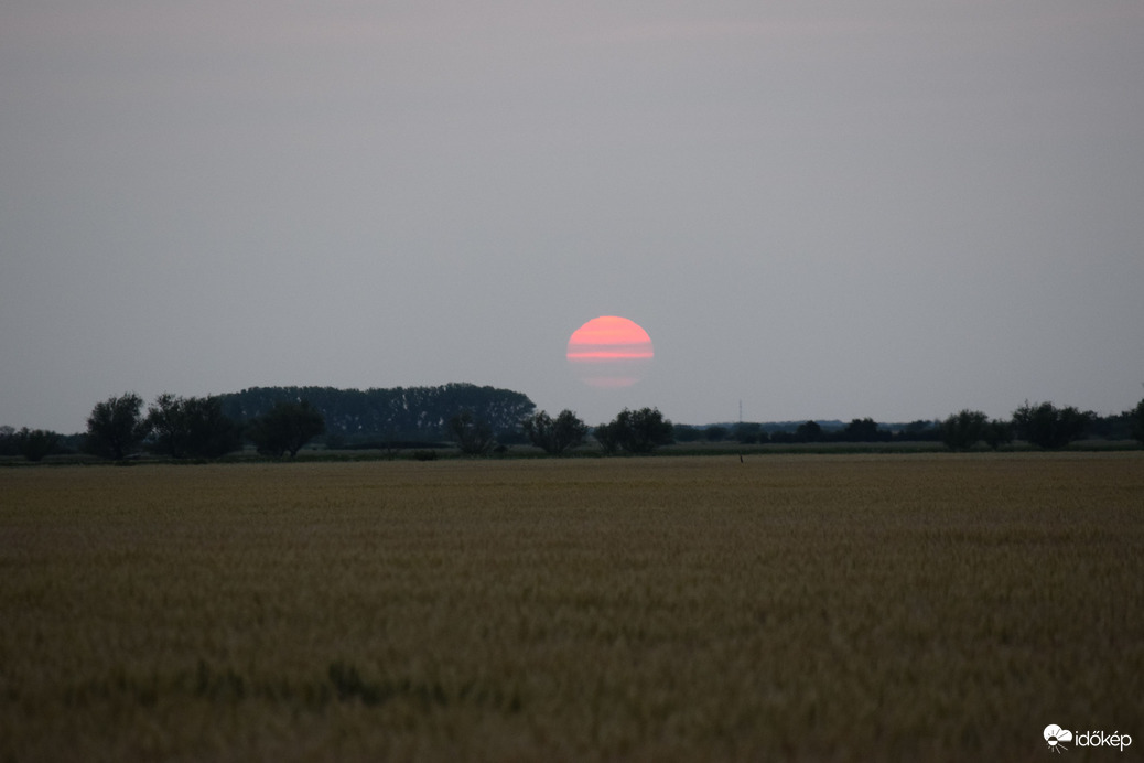 nitaa24 fotója
