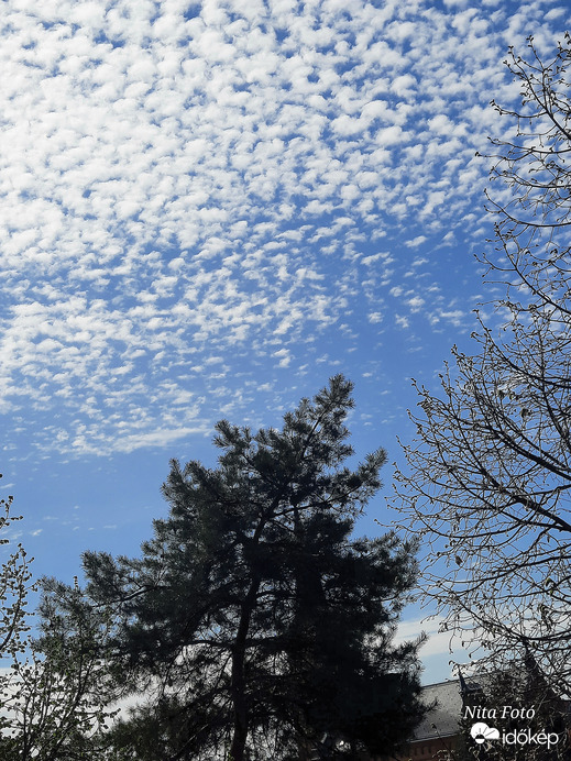 Most Gyomaendrődön!  :)