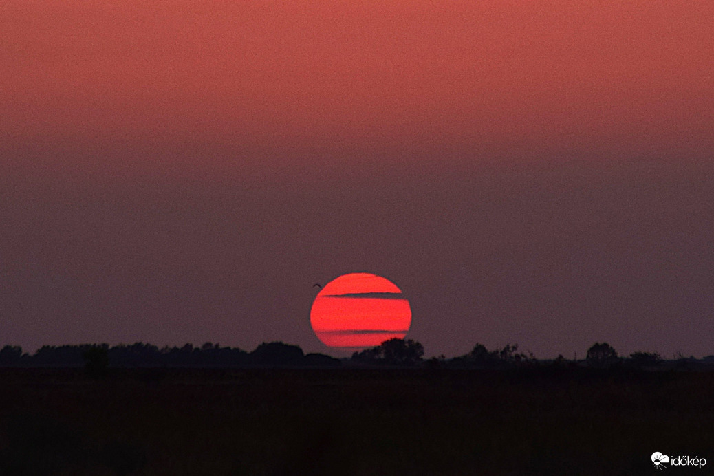 Vörös lemenő Dévaványán...