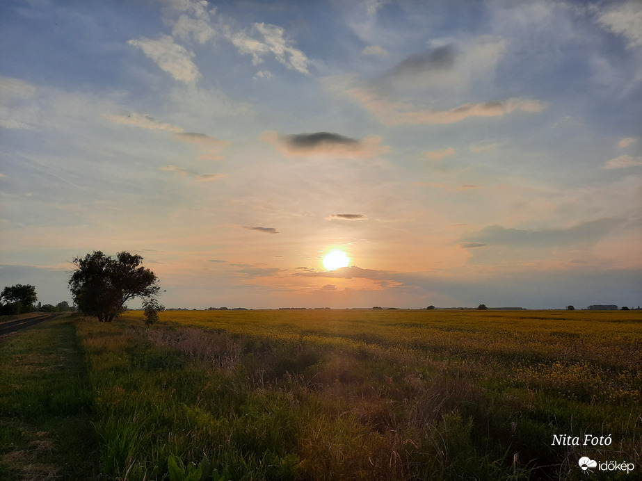Naplemente & repcemező