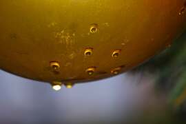 Dévaványa, Városháza