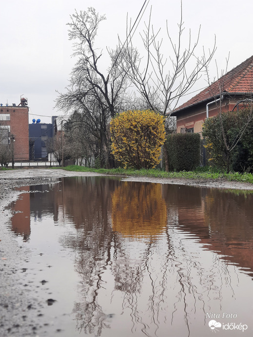 Aranyeső tükörkép 1