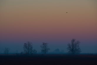 Őszi, ködös reggel Dévaványán