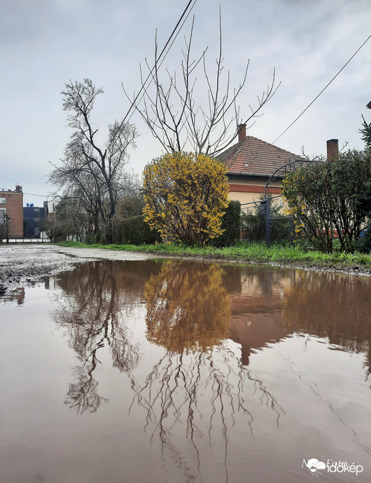 Aranyeső tükörkép 2