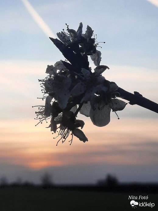 Megunhatatlan téma!...   :)