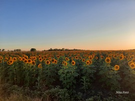 Nemsokára naplemente... :)