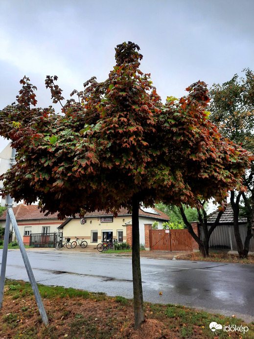 Borongós ősz Dévaványán