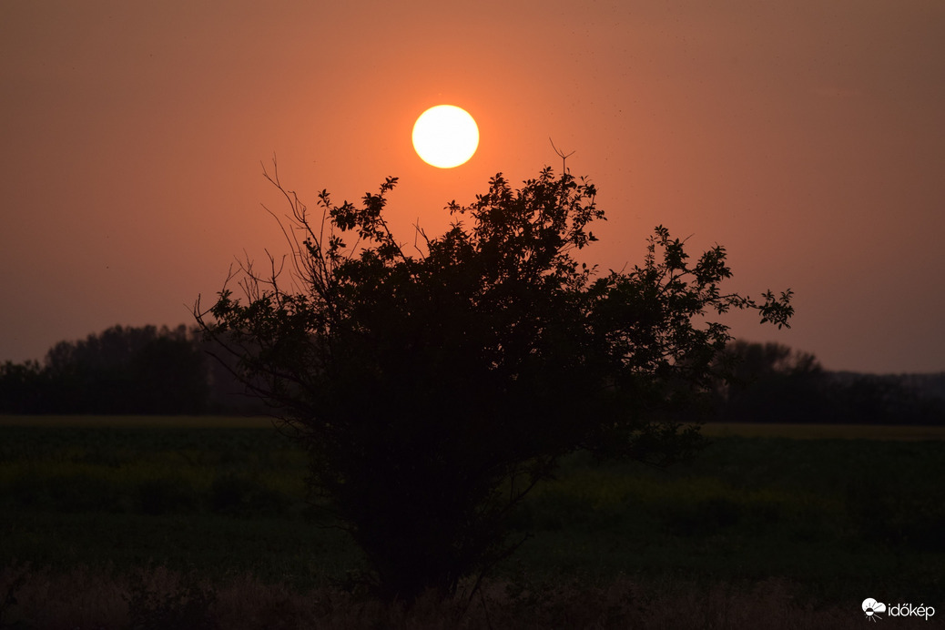Lemenő nap Dévaványán 5