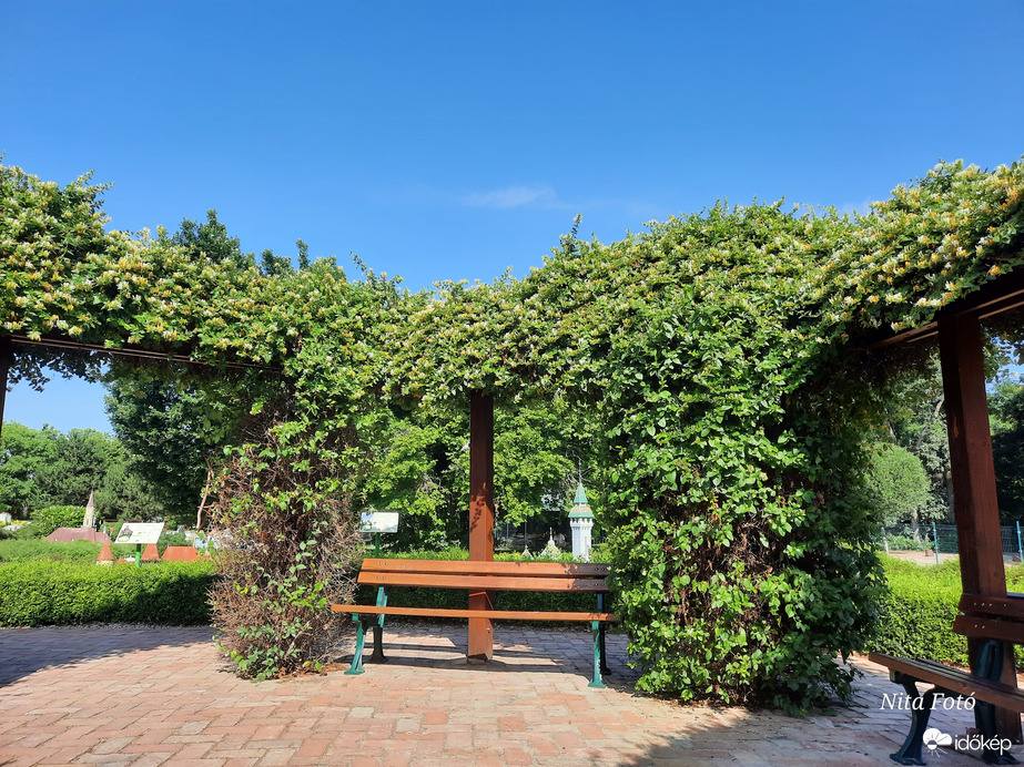 Szarvasi Arborétum: Mini Magyarország