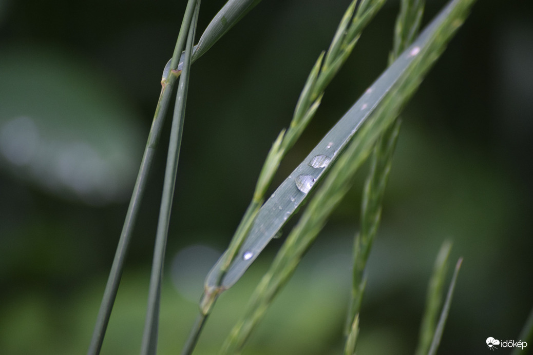 Eső után Dévaványán 5