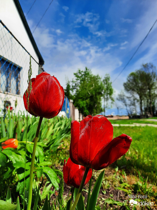 Eső utáni állapot