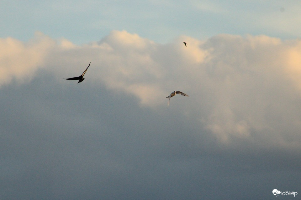 Hódmezővásárhely