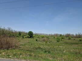 Uzsa