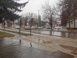 Tamási