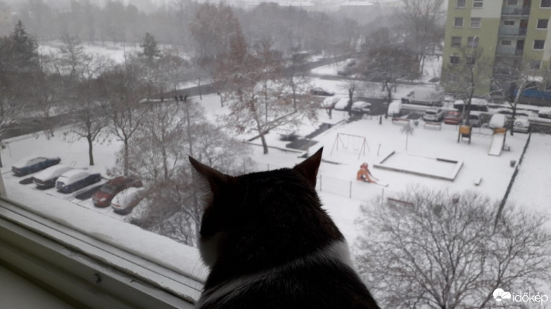 Budapest X.ker - Téglagyárdűlő