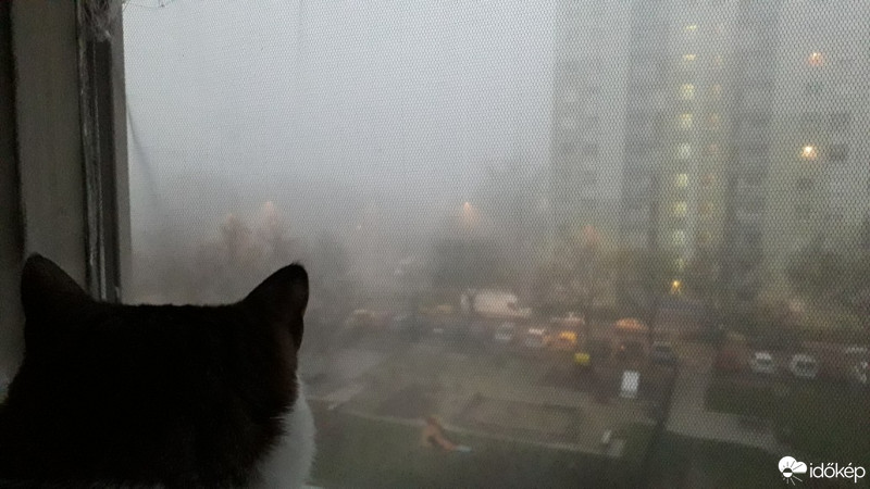 Budapest X.ker - Téglagyárdűlő