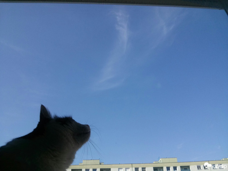 Budapest X.ker - Téglagyárdűlő