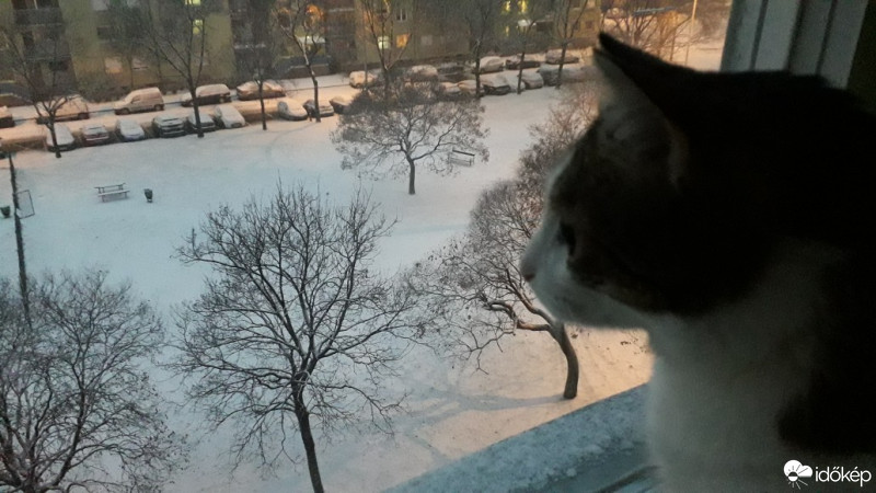 Budapest X.ker - Téglagyárdűlő