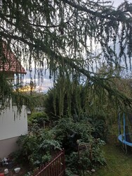 Felsőzsolca