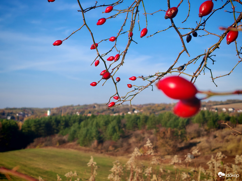 Csipkerózsás panoráma