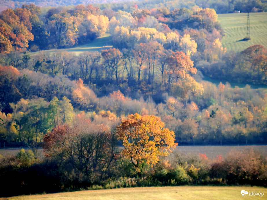Őszi táj. 