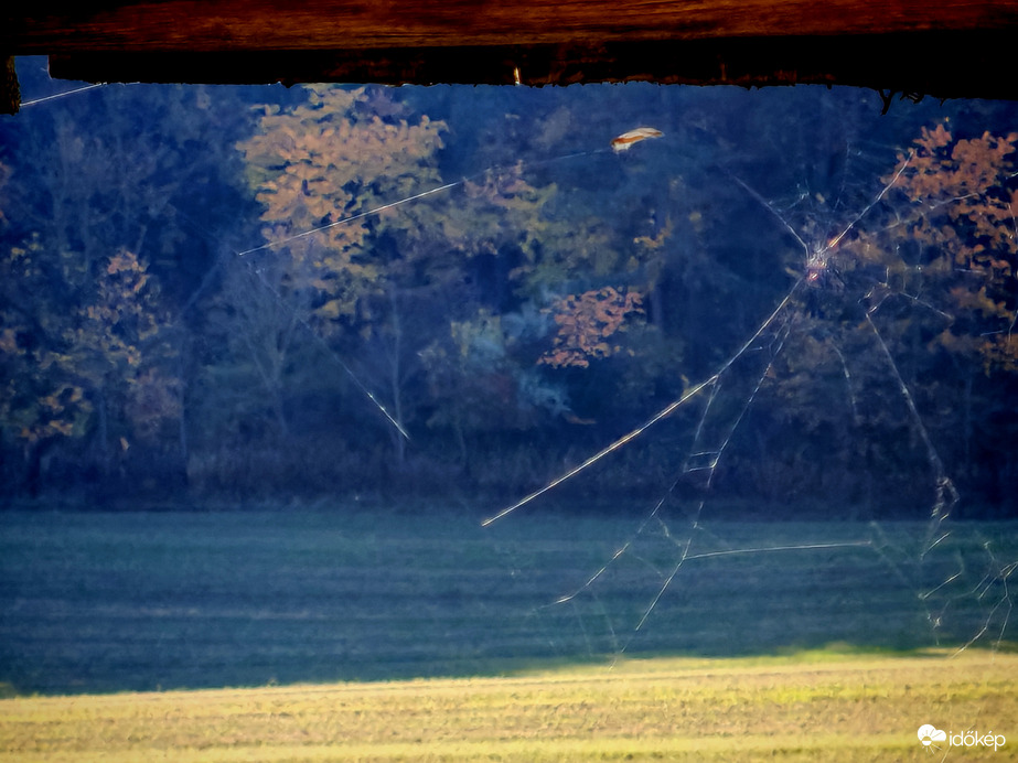 Pókhálós panoráma