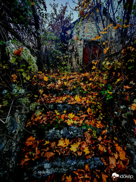 Présház őszi díszben. 