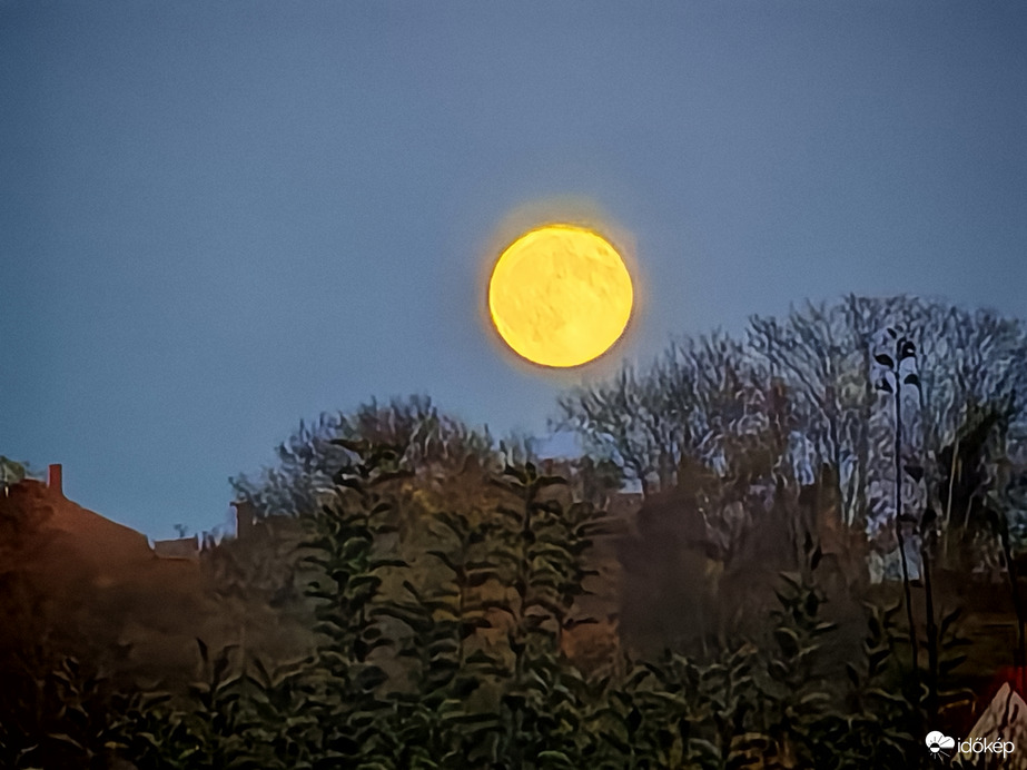 Sajtból van hold... 