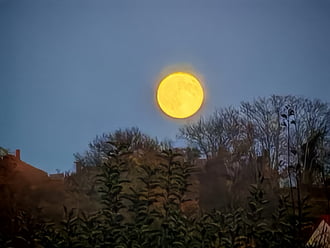 Sajtból van hold... 