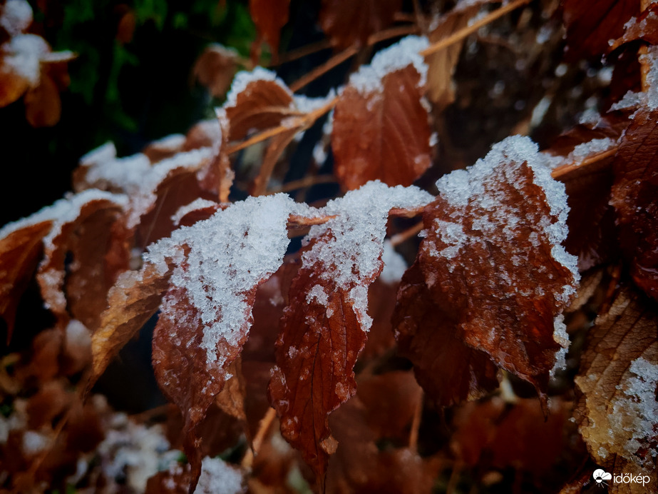 Megjött a hó. 