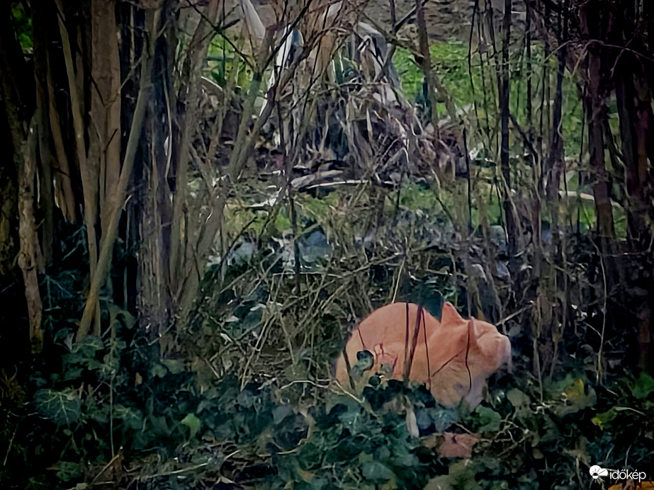 Tuti hogy jön a tavasz, Zsömi már a földön üldögél. 