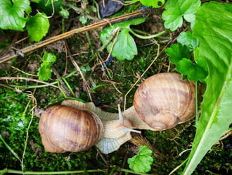 Találkozás