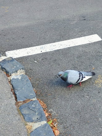Még egy lépés, és fent vagyok a padkán. 