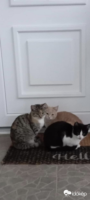 Együtt a rakás. 