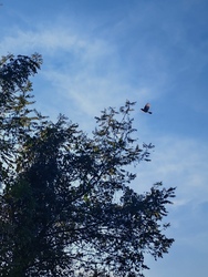 Mindjárt fent vagyok. 