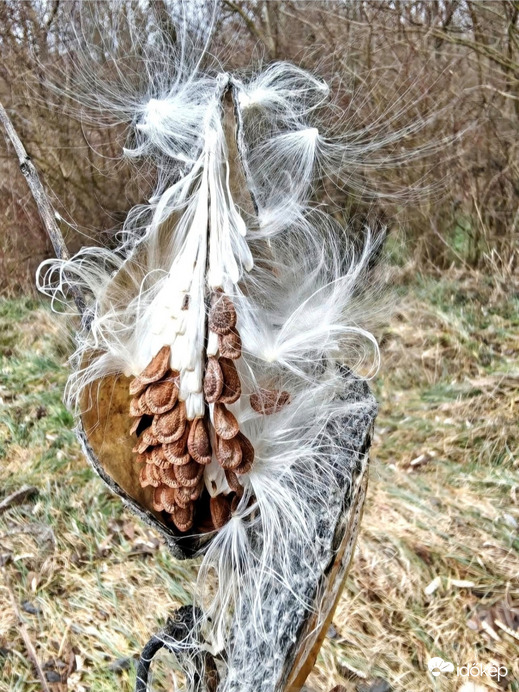 Még nem repülünk.. 