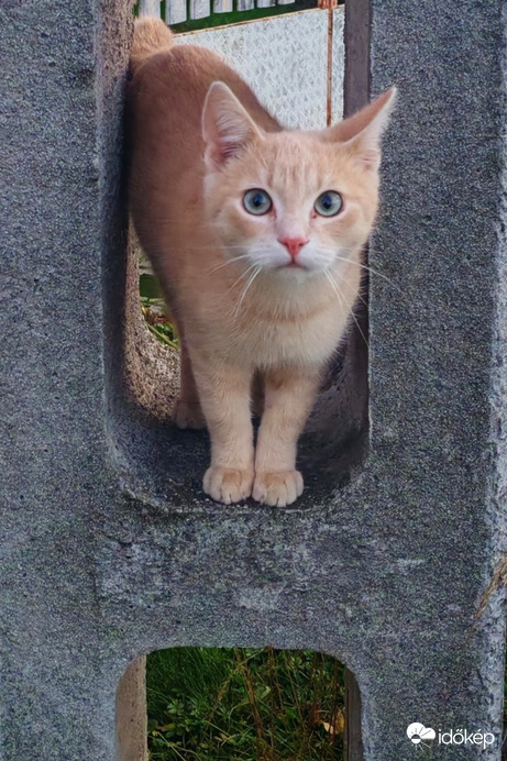 Engem minden érdekel. 